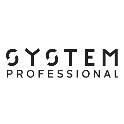 systems professionals